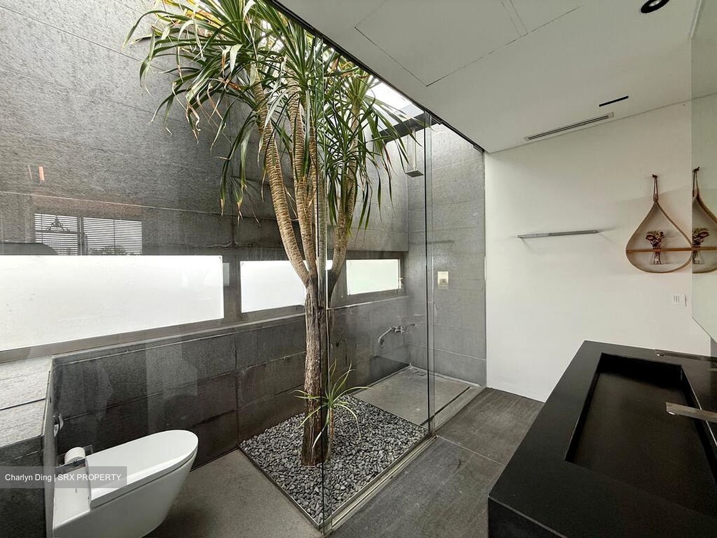 Braddell Heights Estate (D19), Detached #569639861